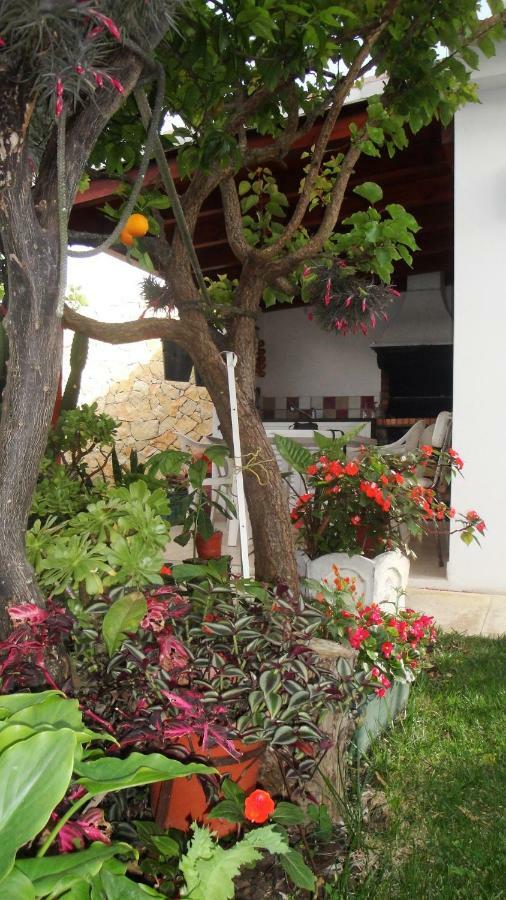 Lemon Tree Relaxing Guesthouse Lagos Exterior foto